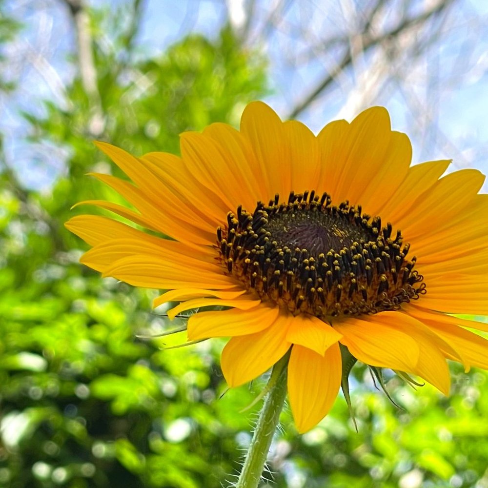 Meet your Posher, Gabby